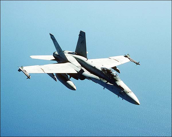 F/A-18 F-18 Hornet VFA-81  Photo Print for Sale