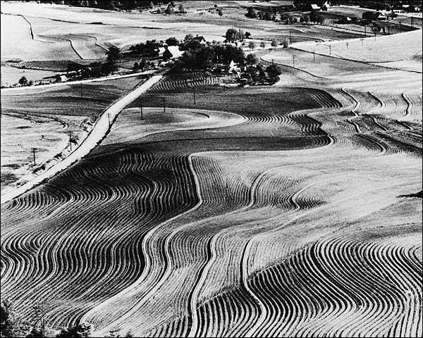 Farm Security Administration Landscape 1940 Photo Print for Sale