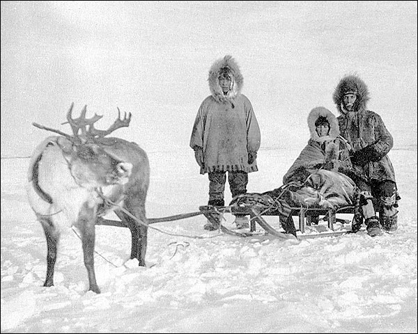 Eskimo / Inuit w/ Reindeer & Sled Alaska Photo Print for Sale