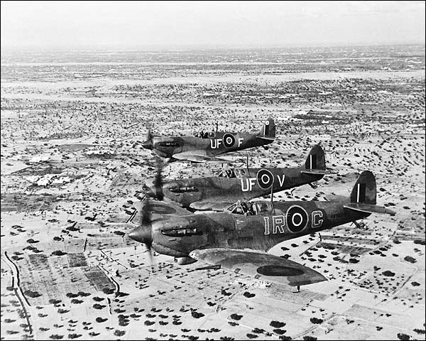 WWII Spitfire Aircraft in North Africa 1943 Photo Print for Sale
