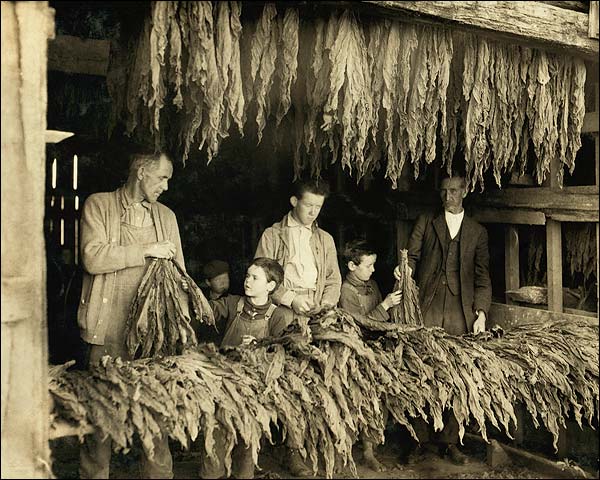 Tobacco Farmer Family Lewis Hine 1916 Photo Print for Sale