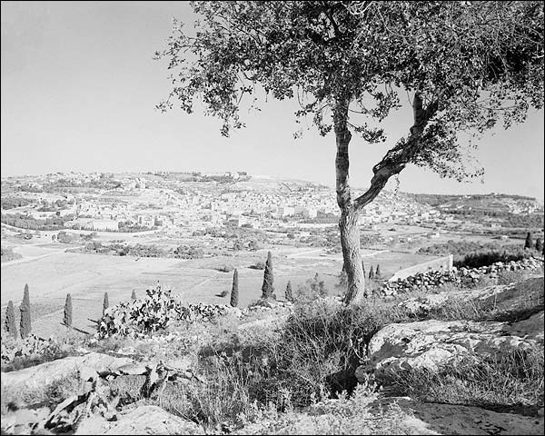 Bethlehem, Palestine from the East 1945 Photo Print for Sale