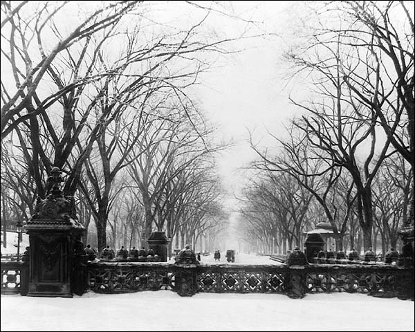 Central Park New York After Snow Fall 1906 Photo Print for Sale