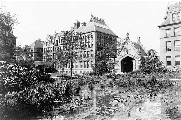 University of Chicago Lily Ponds 1890s Photo Print for Sale