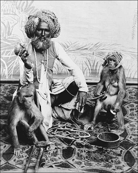 Indian Fakir Man & Monkeys India 1880 Photo Print for Sale