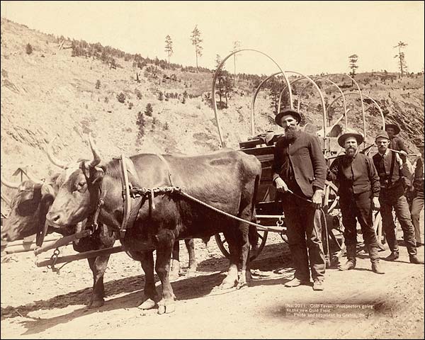 Old West Gold Prospectors 1889 Photo Print for Sale