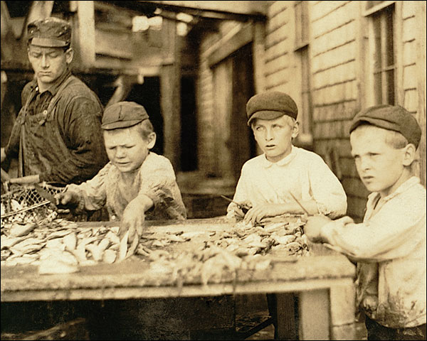 Fish Cutters Child Labor Lewis Hine 1911 Photo Print for Sale