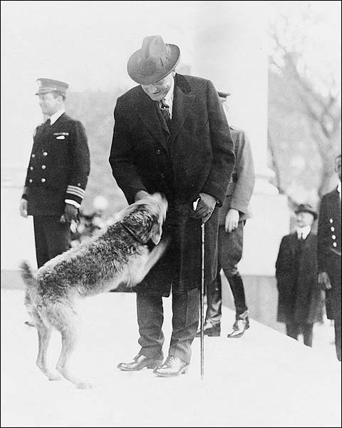 President Warren Harding & Dog 'Laddie Boy' Photo Print for Sale