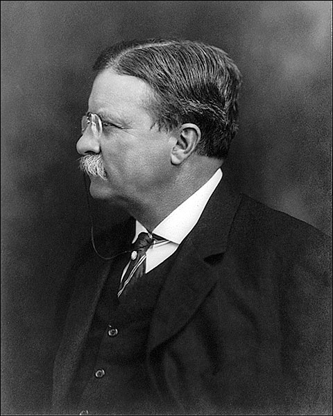Theodore Teddy Roosevelt Profile Portrait Photo Print for Sale