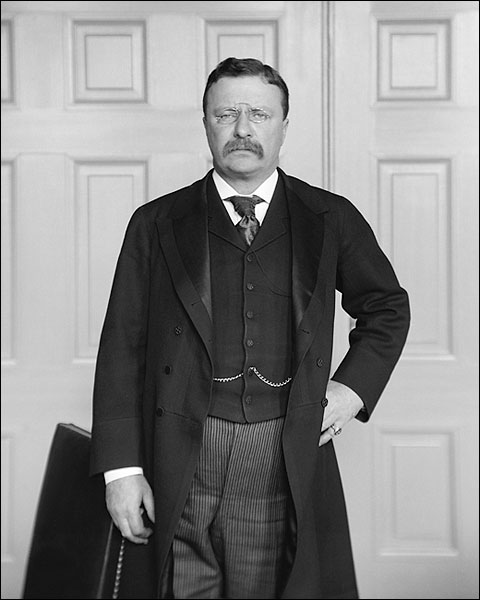 Theodore Teddy Roosevelt Brady Portrait Photo Print for Sale
