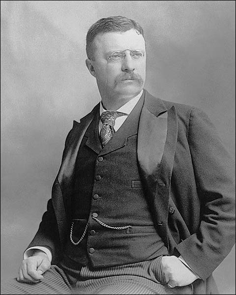 President Theodore Roosevelt Early Portrait Photo Print for Sale