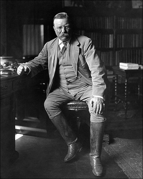 President Theodore Roosevelt Library Photo Print for Sale