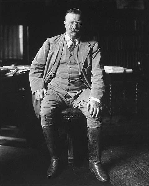Theodore Teddy Roosevelt Library Portrait Photo Print for Sale