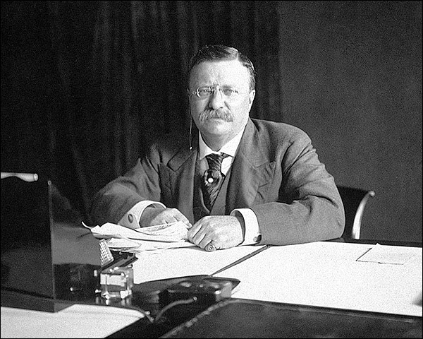 President Theodore Roosevelt Portrait 1907 Photo Print for Sale