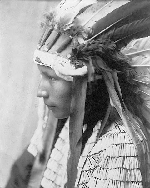 Daughter of Bad Horse Edward S. Curtis Photo Print for Sale