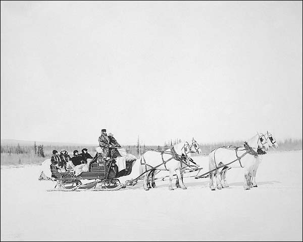 Horse Drawn Postal Snow Sled, Alaska Photo Print for Sale