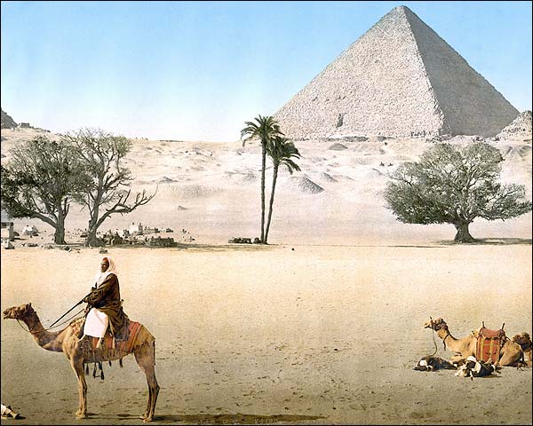 Bedouins & Grand Pyramid in Cairo, Egypt Photo Print for Sale