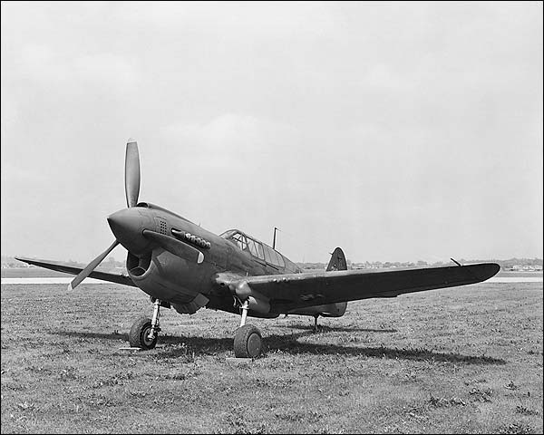 WWII Curtiss P-40 Warhawk  Photo Print for Sale