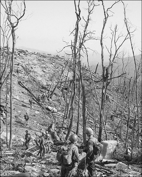 Vietnam War 1st Division ARVN Soldiers Move Along A Trail Photo Print For Sale