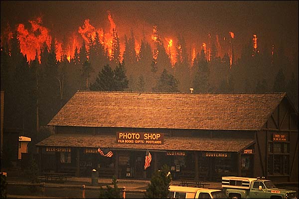 Yellowstone Fire Near Old Faithful Building Complex 1988 Photo Print for Sale