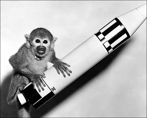 NASA Squirrel Monkey Miss Baker with Model Rocket Photo Print for Sale