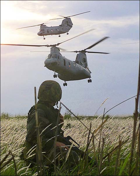 CH-46 Helicopters & 3rd Battalion Marines Photo Print for Sale