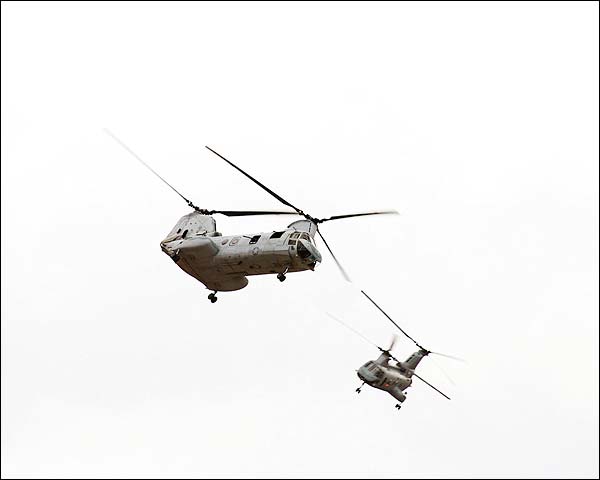 CH-46 Sea Knight Marine Helicopters  Photo Print for Sale