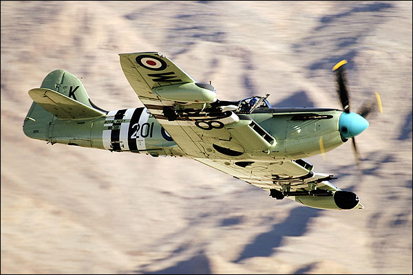 British WWII Fairey Firefly Aircraft Photo Print for Sale